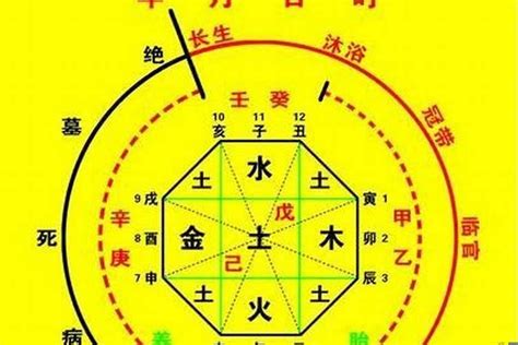 弱水命|八字水弱的情况(八字弱水命是什么意思)